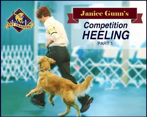 Competition Heeling Part 1 - TNT Training Center