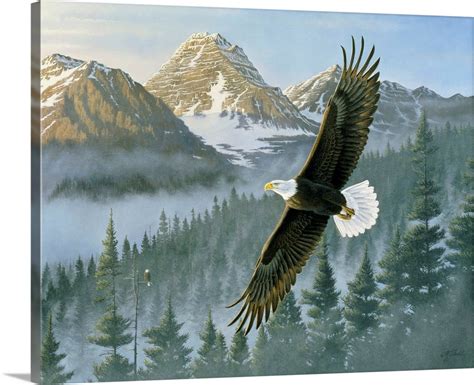 Soaring Eagle Wall Art, Canvas Prints, Framed Prints, Wall Peels | Great Big Canvas