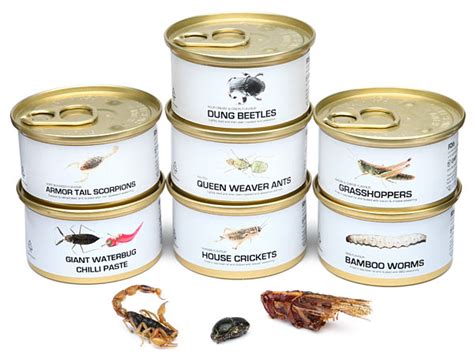 Edible Bugs Gift Pack, Seven Flavored Bug Snacks in Tins