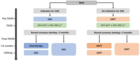 JCM | Free Full-Text | Antithrombotic Therapy Following Transcatheter Aortic Valve Replacement