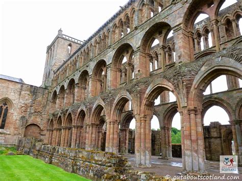 A Guide To: Jedburgh Abbey - Scottish Borders | Out About Scotland