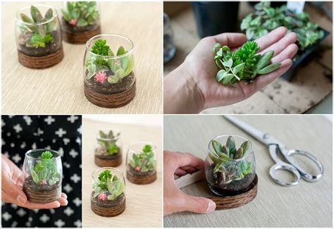 10 Adorable Mini Terrarium Ideas for You to Try