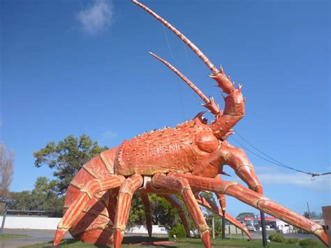 The Big Lobster - Restaurant & Menu Kingston SE, South Australia