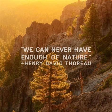 "You can never have enough nature" Henry David Thoreau- I could go with ...