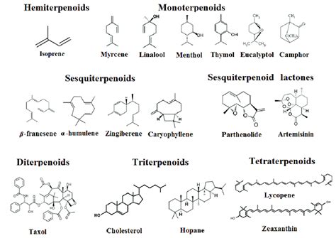 Examples of different classes of terpenoids. | Download Scientific Diagram