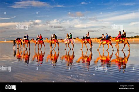 Camel Ride on Cable Beach, Broome, Western Australia Stock Photo - Alamy