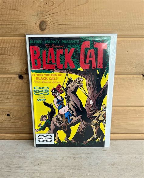Harvey World Comics The Original Black Cat #5 Vintage 1991 | Comic Books - Copper Age, Superhero ...