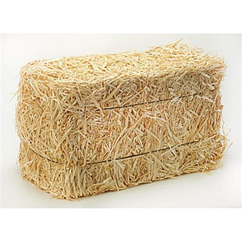 Hay Bale - Straw Bale Prop