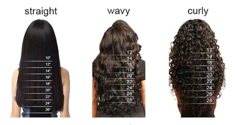 22+ hair length chart wig - EiliahAilia