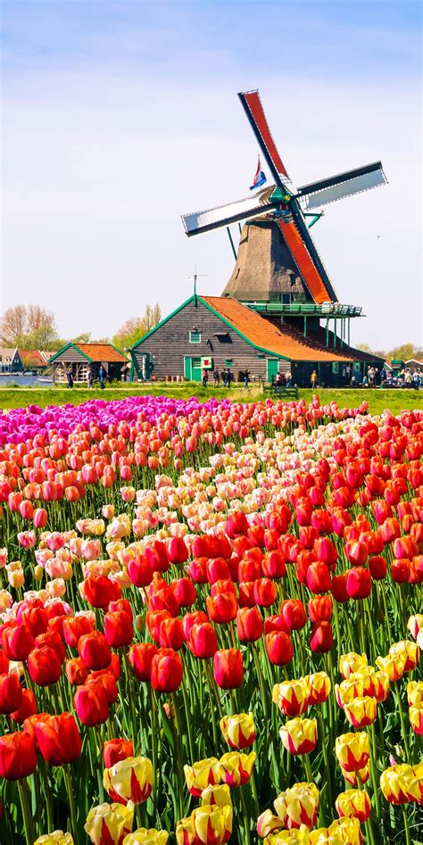 √ Nature Holidays Netherlands