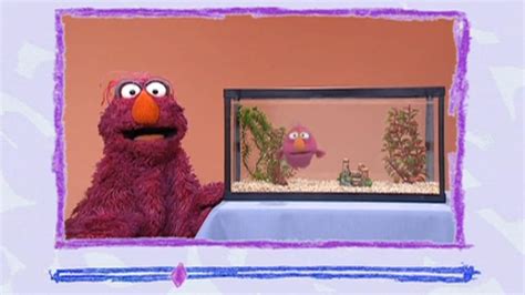 Watch Elmo's World Fish