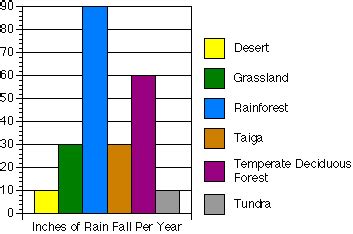 Temperate Deciduous Forest