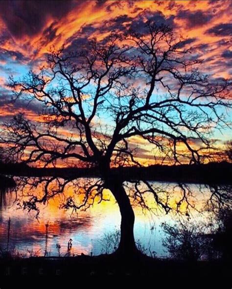 Texas Sunset | Landscape, Texas sunset, Sunset