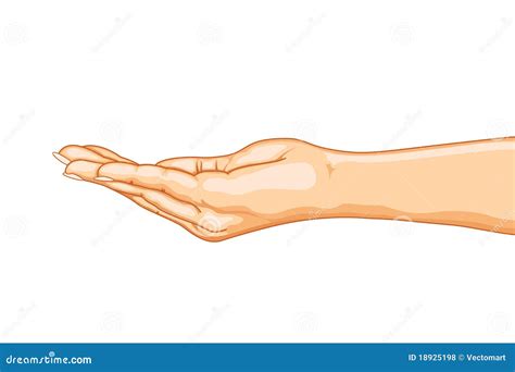 Empty Hand stock vector. Illustration of abstract, copy - 18925198