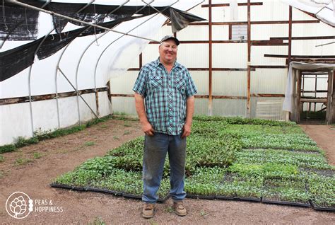 Sustainability Spotlight: Miller Farms Local Vegetable Farm - Peas and Hoppiness