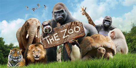 Outnumbered's Hugh Dennis will bring zoo animals to life in a new CBBC comedy