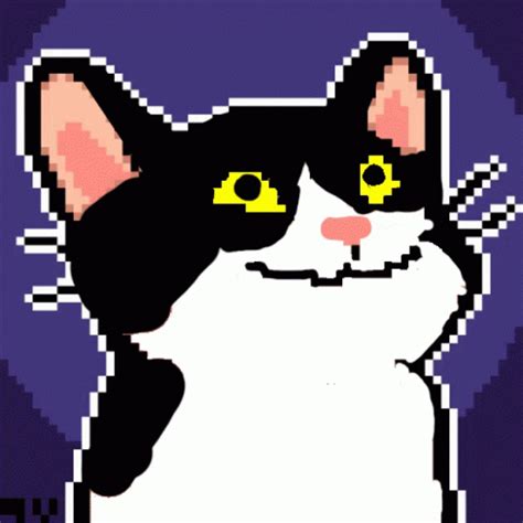 Pop Cat Gif