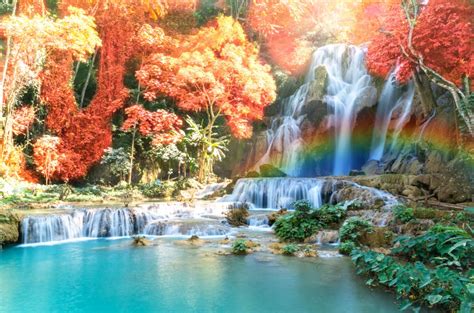 Beautiful Waterfall in the Forest jigsaw puzzle in Waterfalls puzzles on TheJigsawPuzzles.com