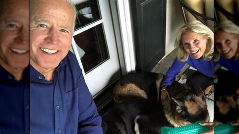 Joe Biden's Dogs' Twitter Account Is Already Blowing Up