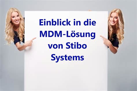 Einblick in die MDM-Lösung von Stibo Systems