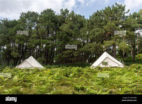 Glamping tents, camp site, camping on Brownsea Island, Dorset, England ...