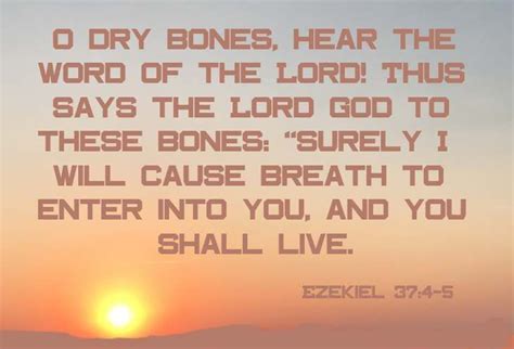 Dry Bones | Powerful words, Dry bones, Speaking in tongues