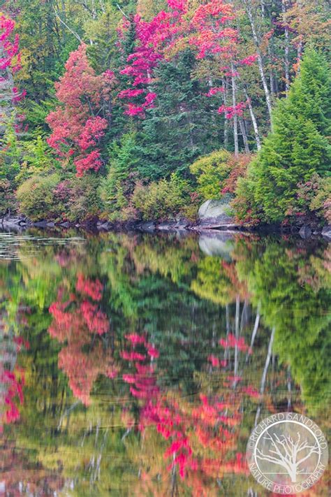 Vermont Fall Colors Reflect – Fine Art Nature Photography