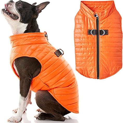 I Tested And Ranked The Best Reddy Puffer Dog Vest In 2024: And Here's What I Found