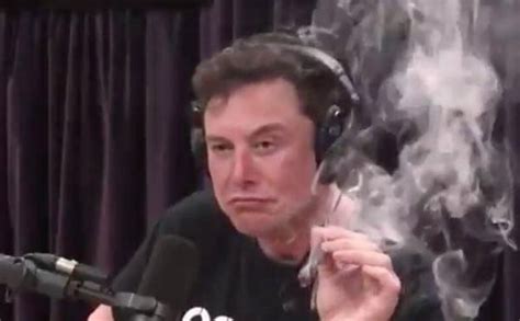 Elon Musk smokes weed on Joe Rogan podcast; Tesla stock drops as execs ...