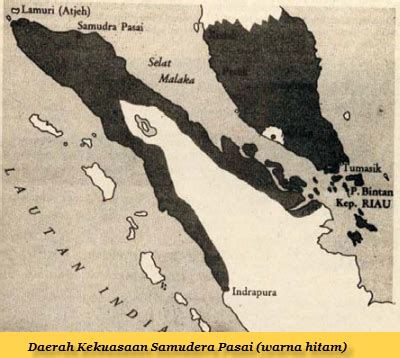 Kerajaan Samudra Pasai – Donisaurus