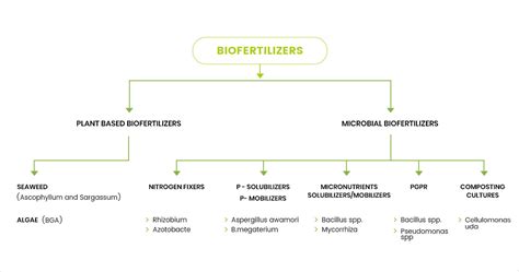 Biopesticides Biofertilizers Manufacturer in India