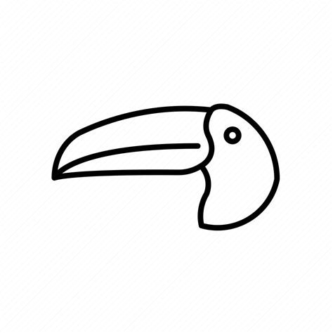 Beak, bird, toucan, tropical icon - Download on Iconfinder