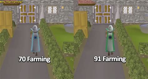 Complete 1-99 Farming Guide for OSRS