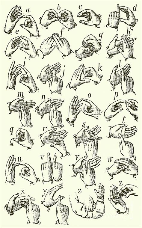 Sign Language Alphabet Drawing by English School - Fine Art America