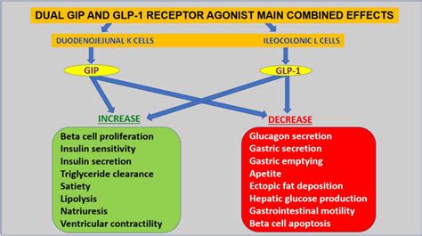 Tirzepatide vs Semaglutide | Focal Point Vitality