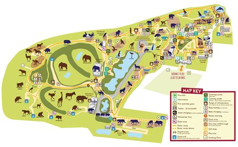 Zoo Map - Colchester Zoo | Zoo map, Colchester zoo, Map