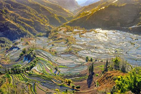 Yuanyang Rice Terraces (UNESCO World Heritage) | Yuanyang Ri… | Flickr