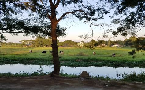 train Yangon to Bagan Myanmar scenery - i put my life on a shelf