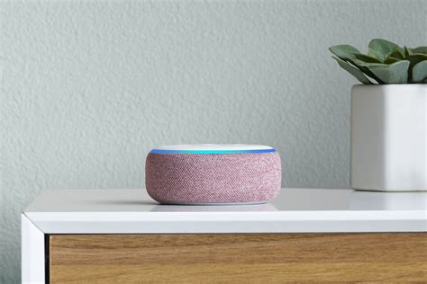 19 Cool Things Your Echo and Alexa Can Do