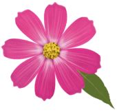 Pink flower clipart best photo – Clipartix