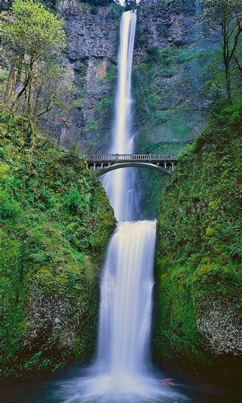 17 Best images about Oregon's Coast, Waterfalls, Lakes, and Rivers. on ...