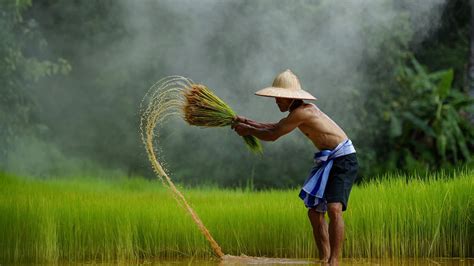 Tổng hợp hình ảnh quê hương đẹp nhất không nên bỏ qua - GIÚP BẠN - Kiến Thức Cho Người lao Động ...