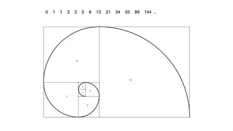 Fibonacci Spiral