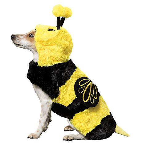 Thrills & Chills™ Halloween Bee Dog Costume | dog Costumes | PetSmart