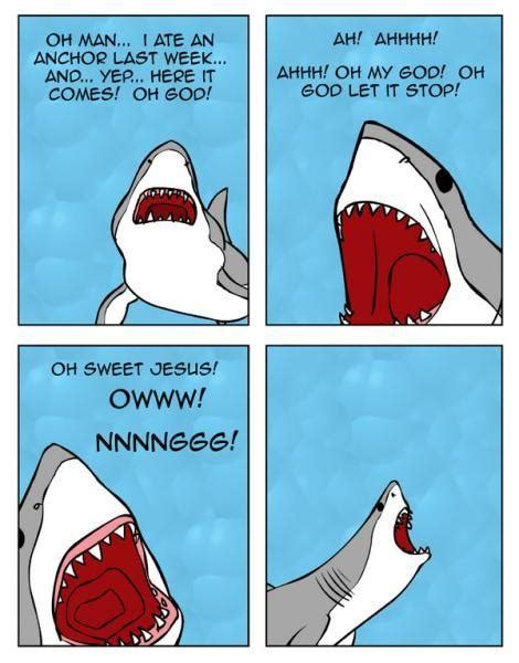 [Image - 21474] | The Singing Shark | Know Your Meme