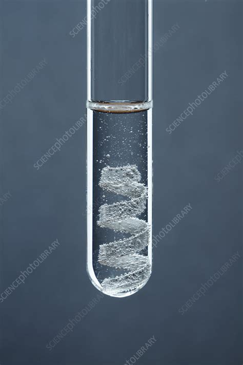 Magnesium reacts with hydrochloric acid - Stock Image - C028/0732 - Science Photo Library