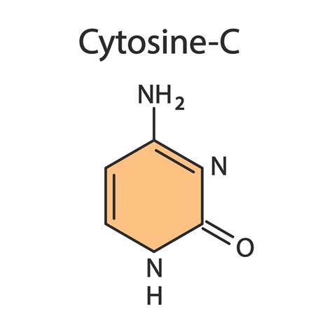 Cytosine chemical formula. Vector editable 8569529 Vector Art at Vecteezy