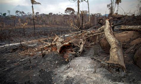 The Amazon fires are choking South America — and it seems nothing much can be done - World ...