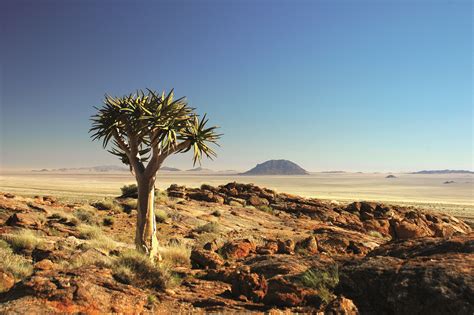 namibia | NAMIBIA HIGHLIGHTS l Lodgetour ab 1320 € | Afrika Safari Reisen ... | Mother Nature