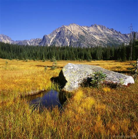 Image of Washington Pass Overlook | 15775